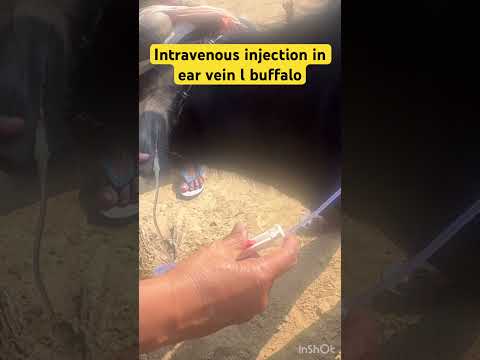 Intravenous injection l dr Umar Khan