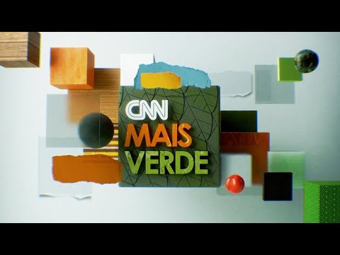 ​CNN Mais Verde: bióloga cria pontes artificiais na Floresta Amazônica | CNN NOVO DIA