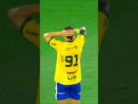 MIRASSOL PARA DE FARMAR AURA PFV 😭😭
