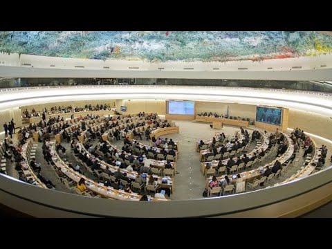 CONSEIL DES DROITS DE L’HOMME DE L’ONU