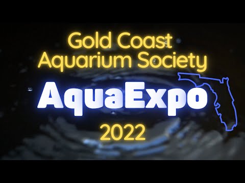 AquaExpo 2022 