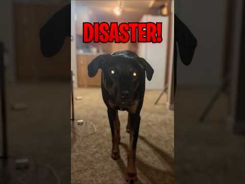 #truedialogue
