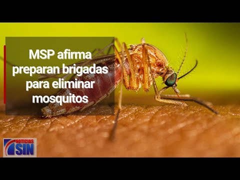 MSP afirma preparan brigadas para eliminar mosquitos