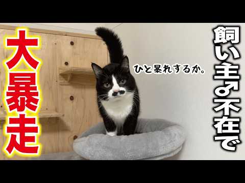 【主♂不在】ワンオペの夜は想像以上にカオスだった