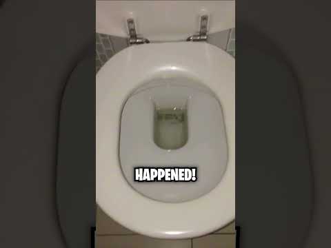 This Guy Noticed Something Weird About HIs Toilet but then... 😱