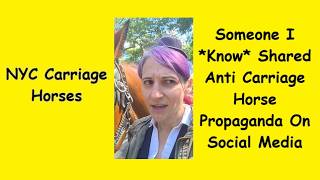 RE: Someone I KNOW Shared Anti NYC Carriage Horse Propaganda