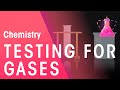 Testing Gases: Hydrogen, Oxygen, Carbon Dioxide, and Chlorine
