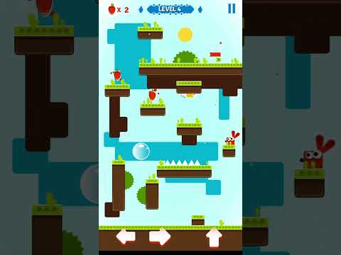 Rabbit and carrot   LEVEL4