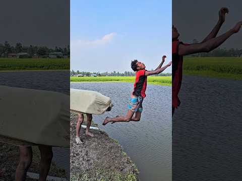 A cow runs over and knocks you over?,1