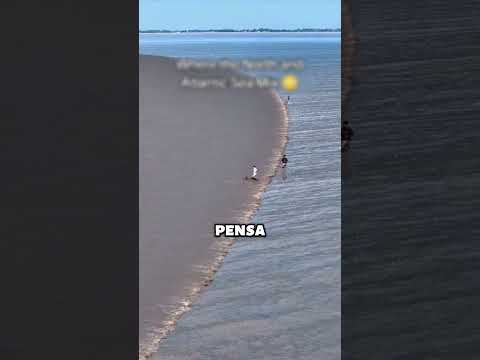 ONDAS DA MATRIX #ondas #matrix