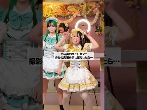 メイド姉妹が意味不明なコトしてた…  #メイドカフェ #コンカフェ嬢 #shorts
