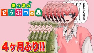 【あつまれどうぶつの森】ただいま！4ヶ月ぶりの島どうなってる！【にじさんじ / 赤城ウェン】