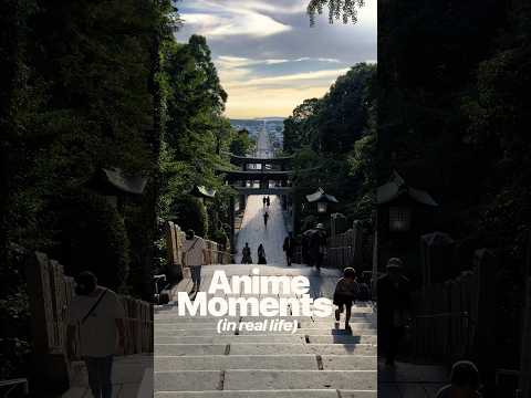 Anime in real life - Hasselblad X2D II