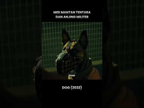 Perjalanan mantan tentara membawa anjing militer ke pawangnya ‼️ #alurceritafilm #shorts