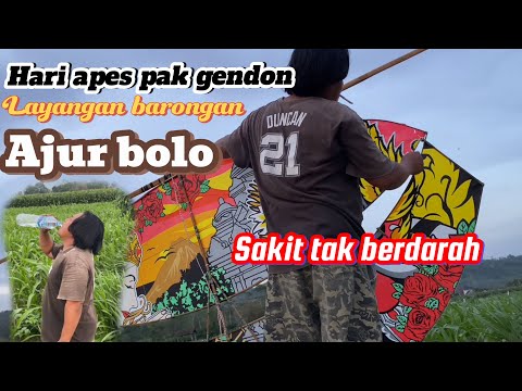 Barongane ndadi bolo uwer terus sampek ajur