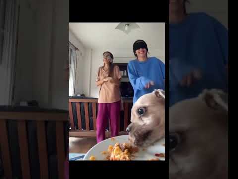 Reacción a videos graciosos l Reacción mexicano 18 #meez9  #meezjuegos