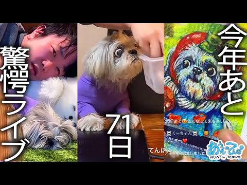 【驚愕】今年残り71日やでライブ【金曜20時定時ライブ】2025.10/24