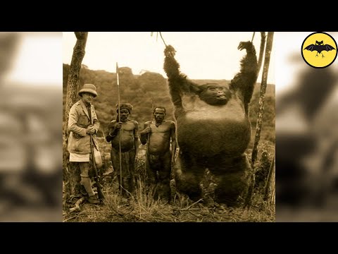 Hallazgos en el Congo que Aterraron al Mundo.