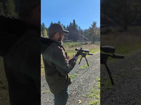 Americas Next SNIPER weapon system [300BLK Suppressed]