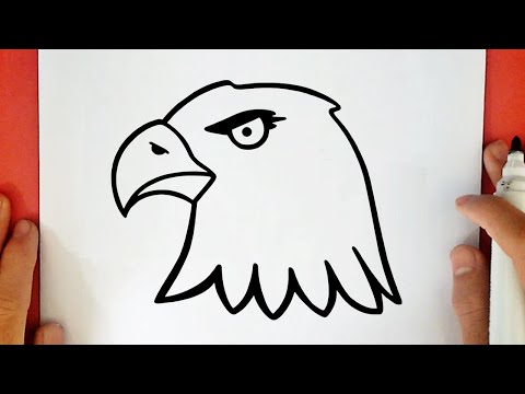 COMO DIBUJAR UN ÁGUILA