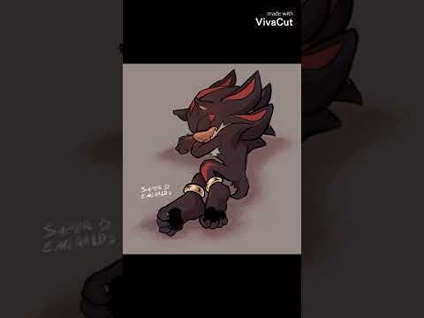 Shadow The Hedgehog ✨