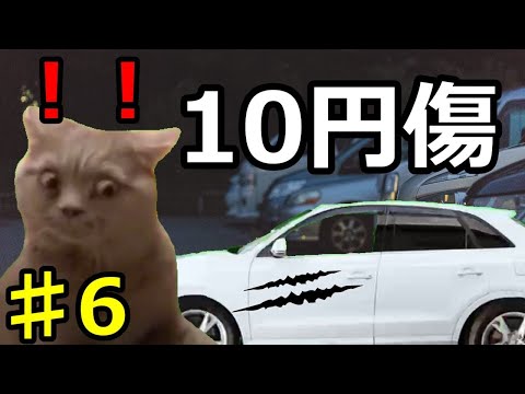 【猫ミーム】市営住宅の闇パート6