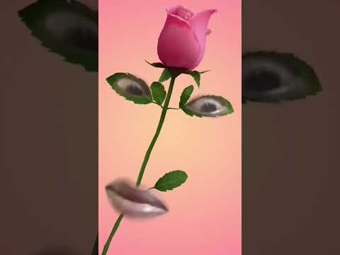 #Yah Kaisa funny moments #lifeisbutadream