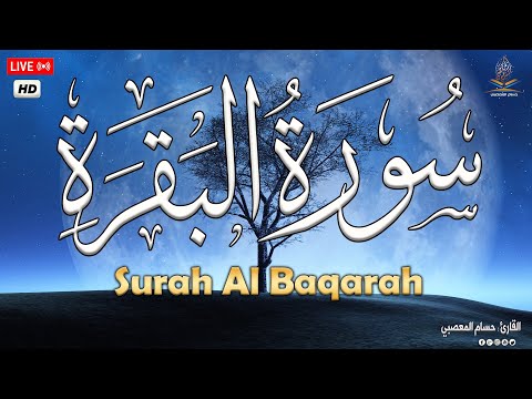 سورة البقرة طاردة الشياطين 💚💤 تلاوة هادئة للنوم والراحة النفسية 😴 Surat Al-Baqarah Quran Recitation