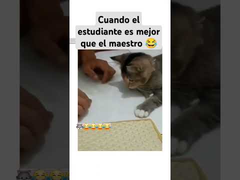 Mejor que el maestro 😂