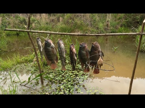 Quando o peixe tiver manhoso é só usar esse truque, Pescaria caipira