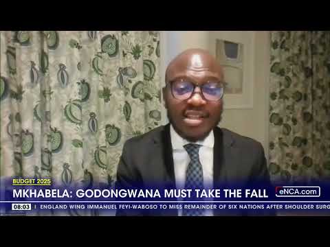 Budget 2025 | Godongwana must take the fall, says political analyst