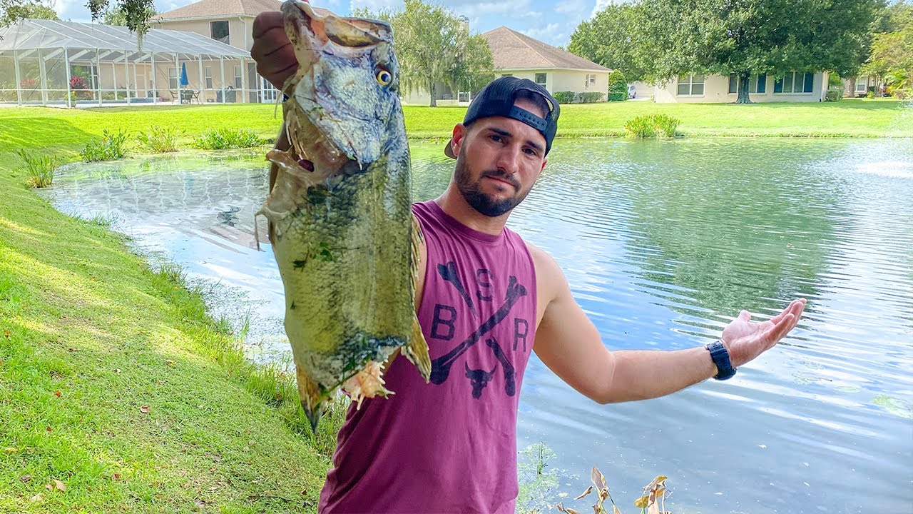 Someone Killed my 10lb PET Largemouth Bass. (foul play)