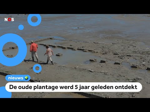 Op deze plantage werden kinderen gedwongen om te werken