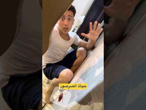 حياة صرصور ببيت عيله اردنيه #shorts