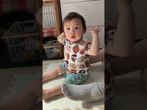 全赤ちゃんを踊らせる音楽【1歳2ヶ月】