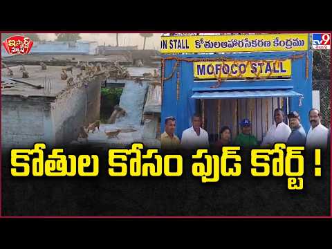 iSmart News : కోతుల కోసం ఫుడ్ కోర్ట్ !  | Food Court For Monkeys - TV9