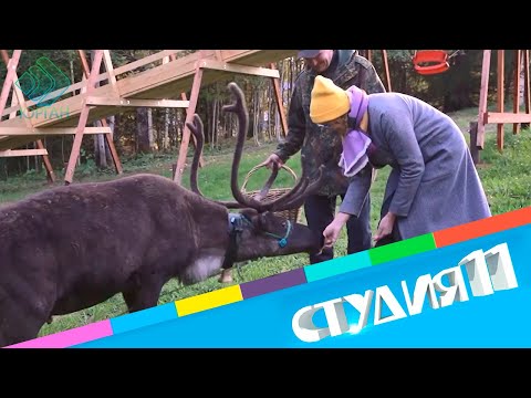 Студия 11. 16.09.21