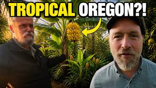 Oregon Man Grows Bananas (+Tropical Fruit) In 27°F