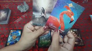MEUS SONHOS SE REALIZARÃO ESTE ANO? CONSELHOS DO TAROT E BARALHO CIGANO