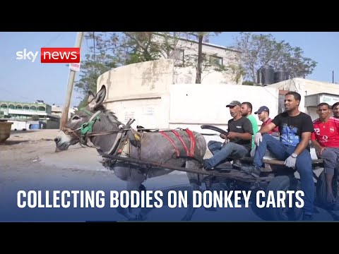 Israel- Hamas War: Collecting bodies on donkey carts