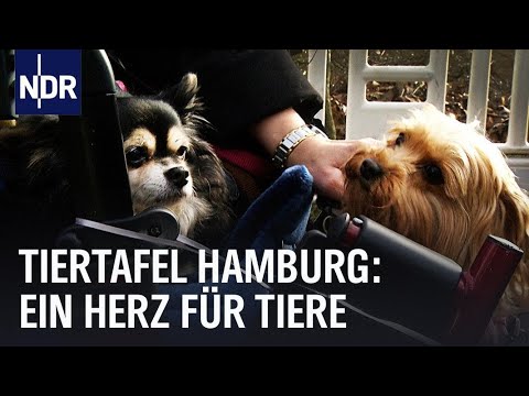 Hamburger Tiertafel: Ein großes Herz für Tiere | Die Nordreportage | NDR Doku