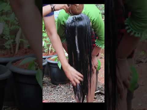 മുടി നീളത്തിൽ ഉള്ളോടെ വളരുവാൻ ഇങ്ങനെ കുളിച്ചു നോക്കൂ Shampoo ഇതു പോലെ ഇടു  #diy #hair #growth
