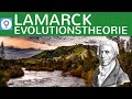 evolutionstheorie-lamarck-deszendenztheorie-abstammungstheorie/