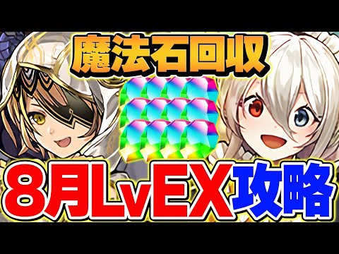 【+297でOK】イデアルで8月EXラッシュを攻略!!代用+立ち回り解説！【パズドラ】