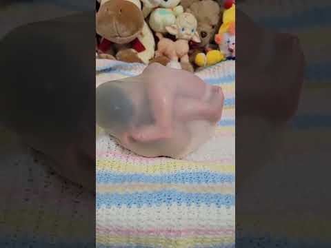 Baby in Womb