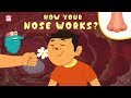 Understanding the Nose