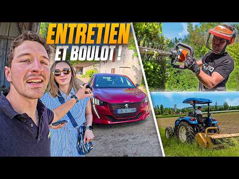 ENTRETIEN ! TOURNESOLS ET FONGICIDE !