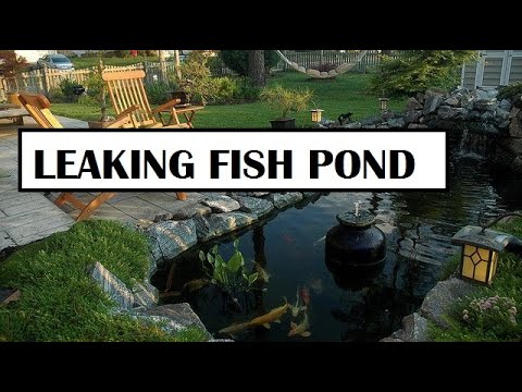 Repairing freshwater garden pond || Concrete FISH  Leaking concrete fish pond

Concrete ponds are notorious for springing leaks. The main reason is eit