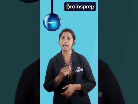 What is Hypothalamus ? | BrainsPrep Shorts | Kerala Syllabus  | Biology