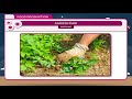 Agricultural Processes and Tools